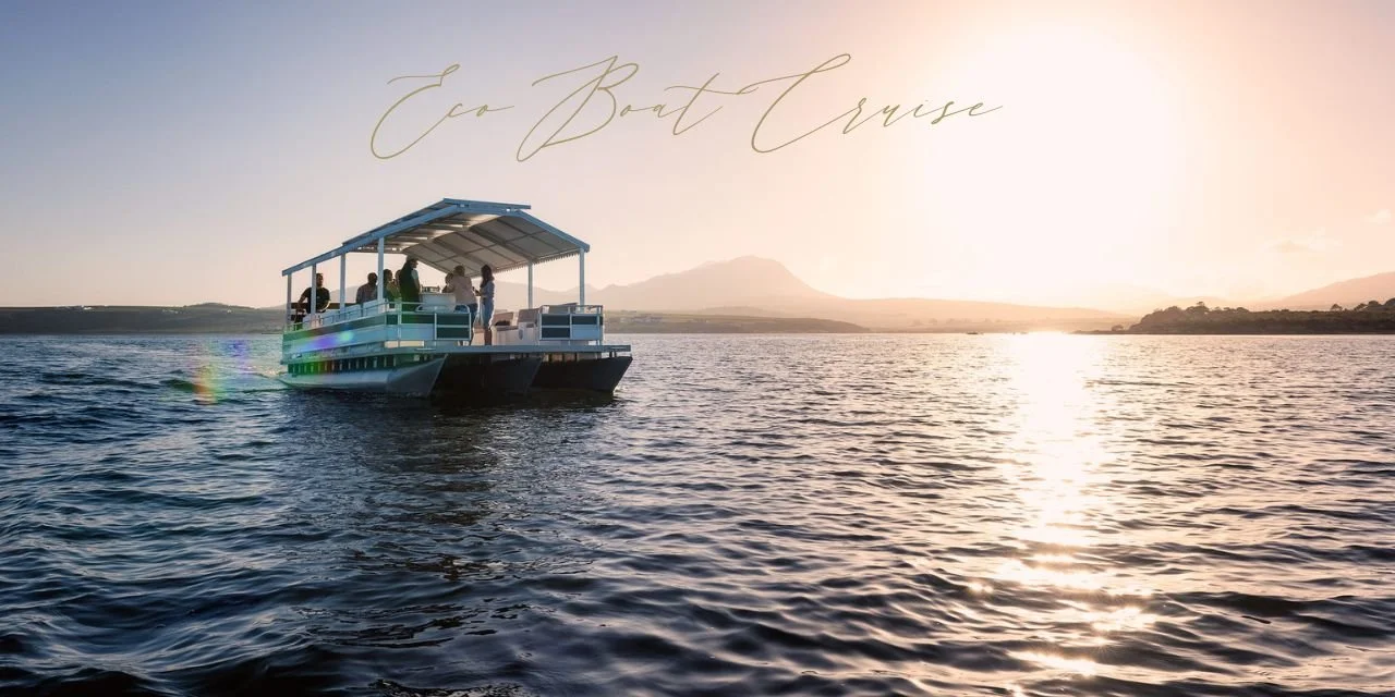 Eco Boat Cruises in Hermanus, South Africa