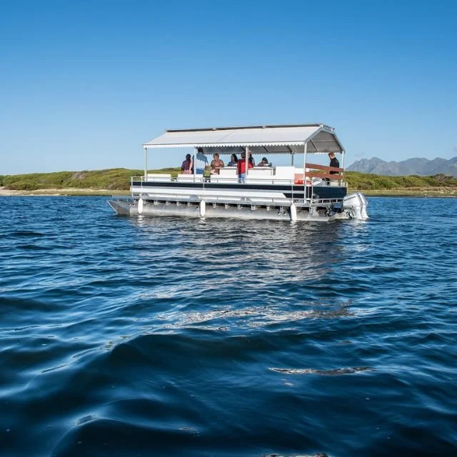 Boat-cruise-Benguela-Cove.jpg