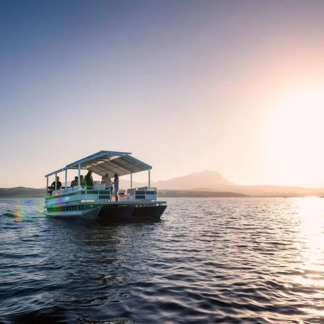 Eco Boat Cruises in Hermanus&nbsp;