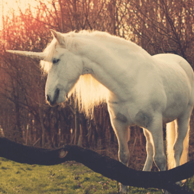Growing-Leonardslee-Podcast-Season-1-Episode-2-Enchanted-2021-Unicorns.png