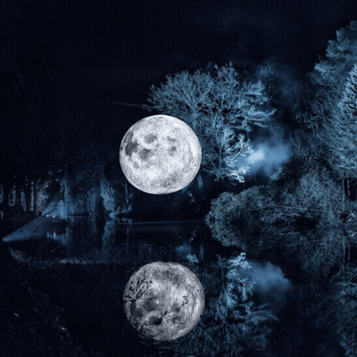 Leonardslee-Illuminated-2021-Moon.png