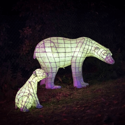 Leonardslee-Illuminated-2021-Light-Trail.png