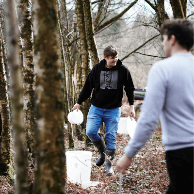 Leonardslee-foraging-birch-sap.png