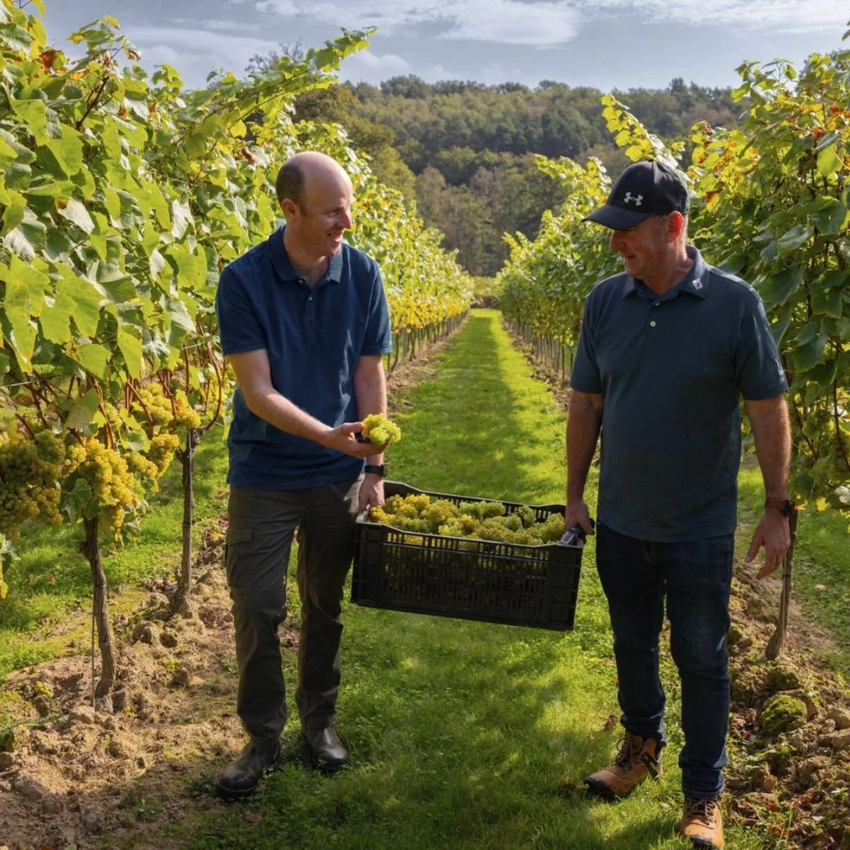 Johann Fourie Barry Anderson Leonardslee Wines