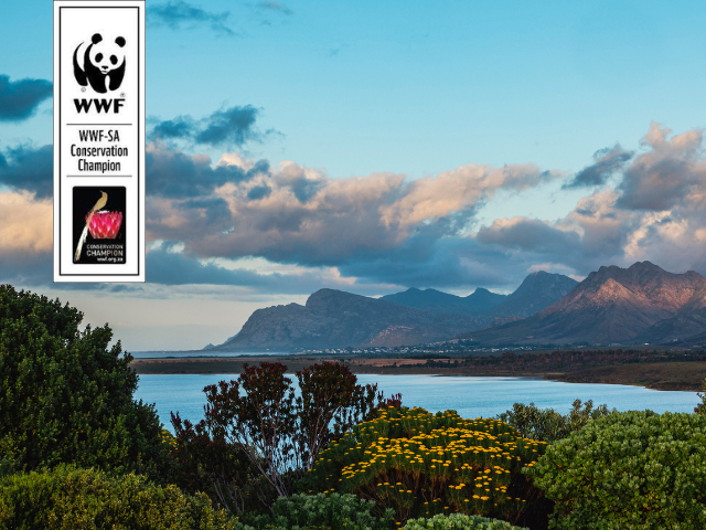 Benguela-Cove-WWF-Conservation-Champion.png