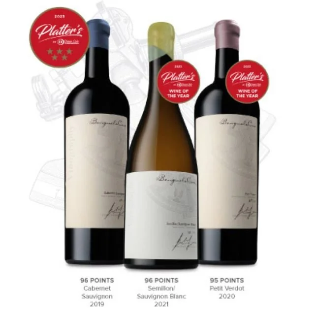 Platter’s Top Awards for British Vineyard Owner
