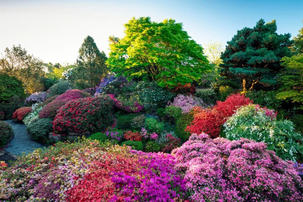 Leonardslee Gardens