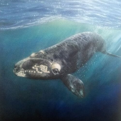 Coral-Spencer-featured-artist.jpg