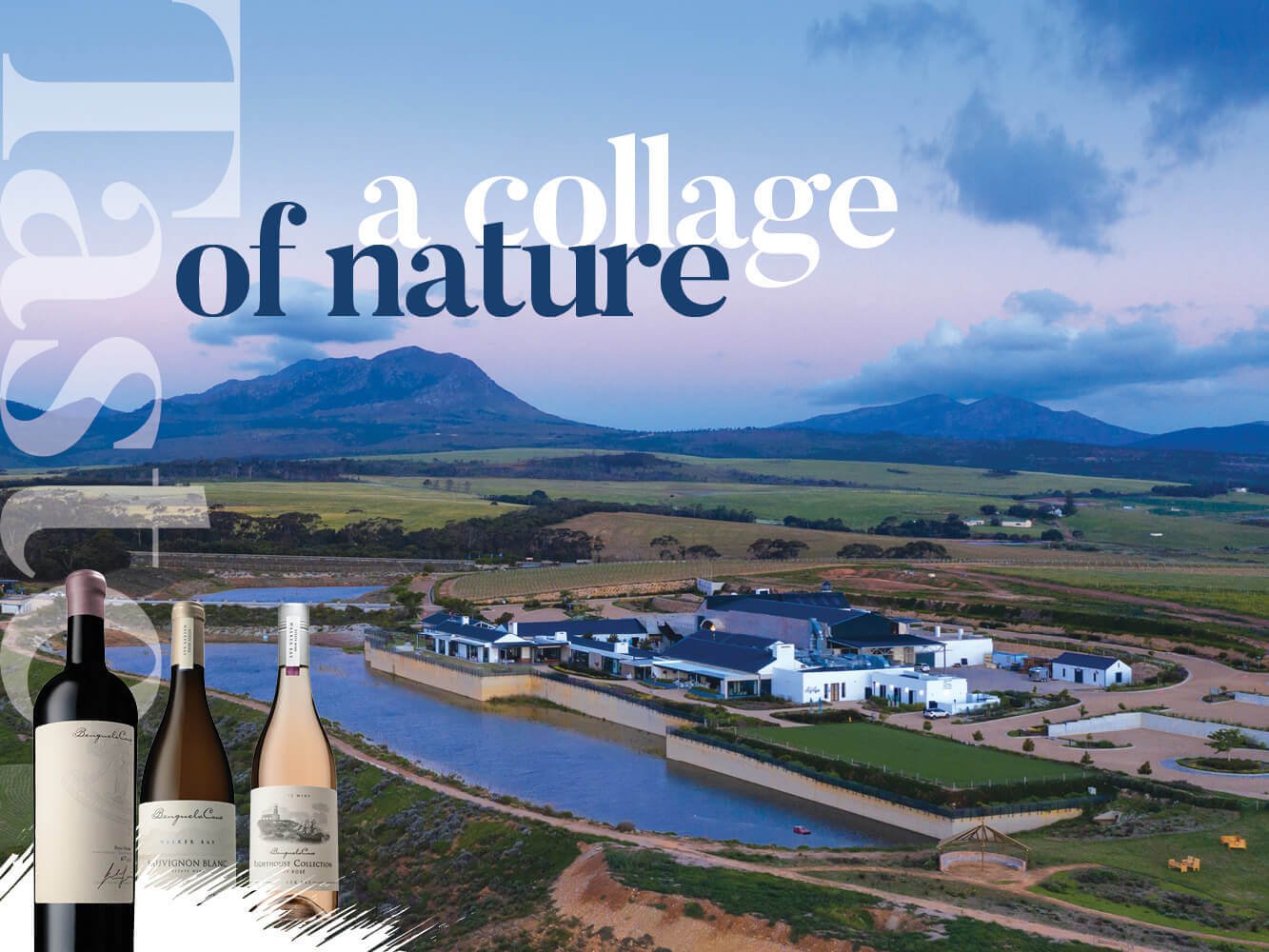 Benguela-Cove-Wine-Estate.jpg