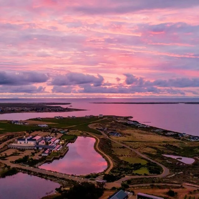 Worlds-Best-Vineyards-2023-Benguela-Cove-South-Africa.jpg