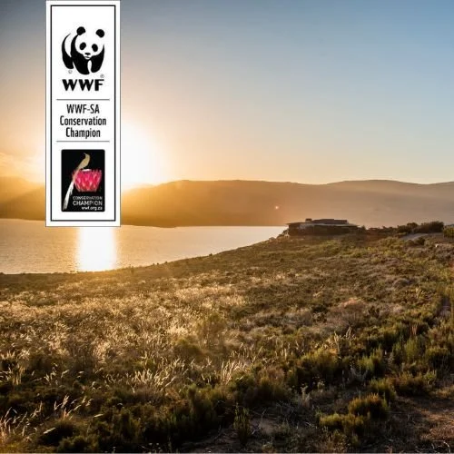 Benguela Cove WWF Conservation Champion