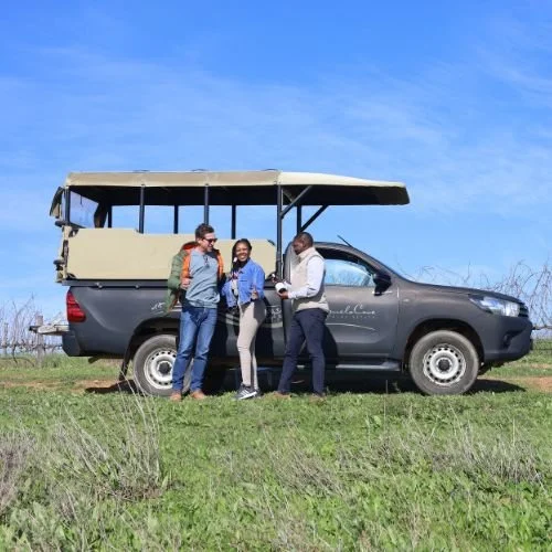 Sustainable Wine South Africa
