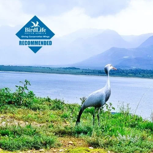 BirdLife SA Recommended Accommodation