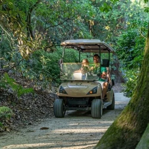 Volunteer at Leonardslee Gardens