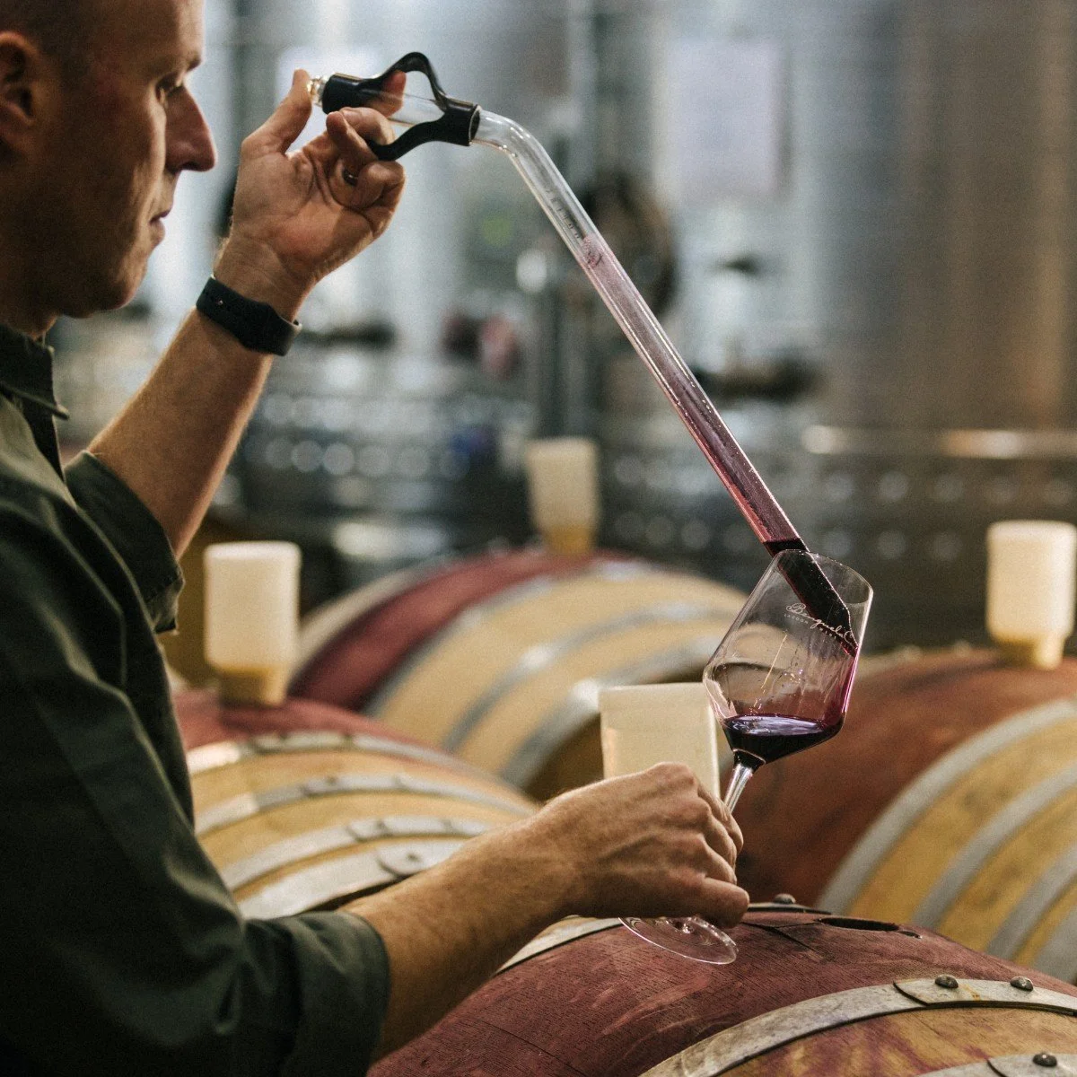 What Moving Between Hemispheres Teaches a Winemaker