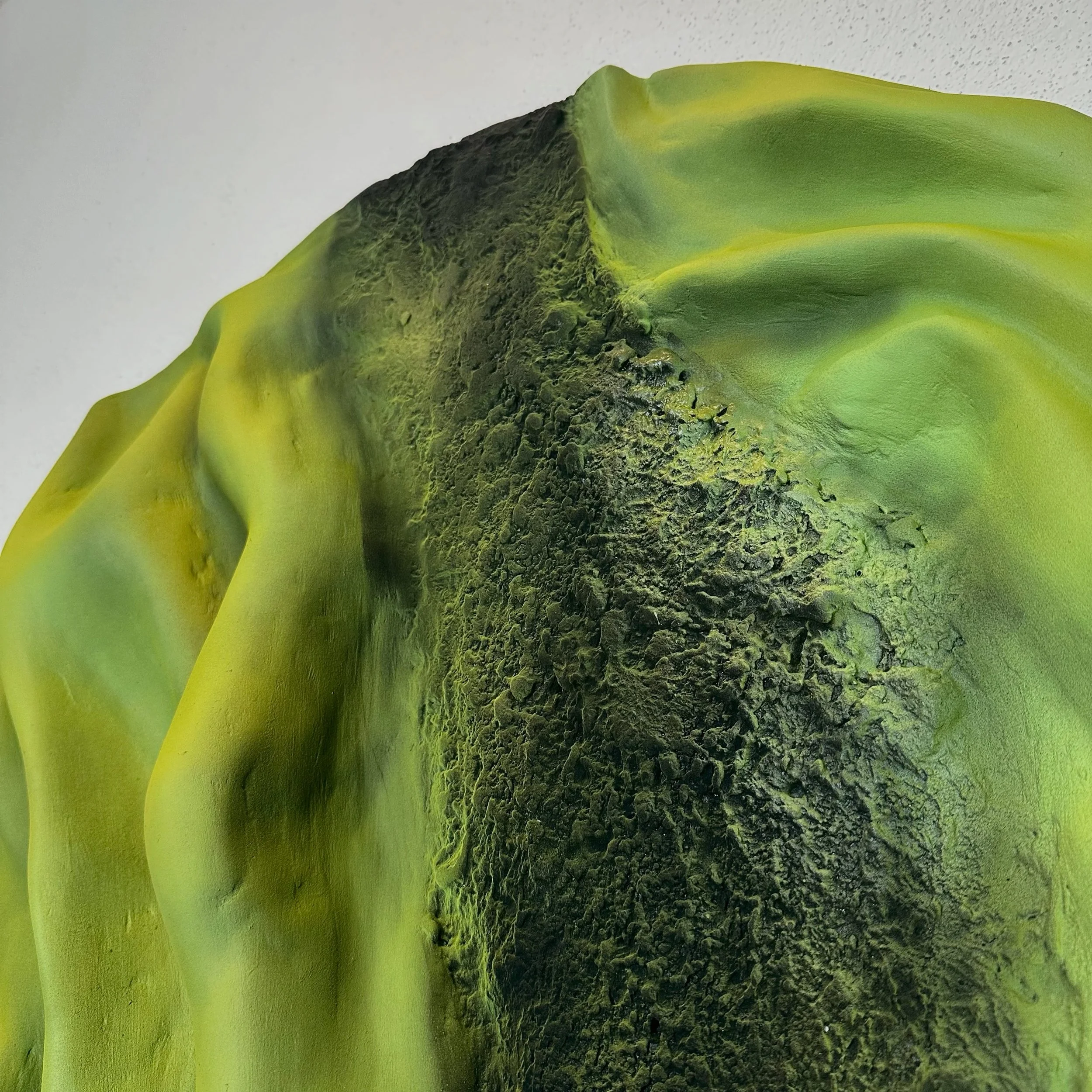 Close-up of a green vegetable, possibly a broccoli stem, with a green expanse and a textured, darker green or black, rough area.