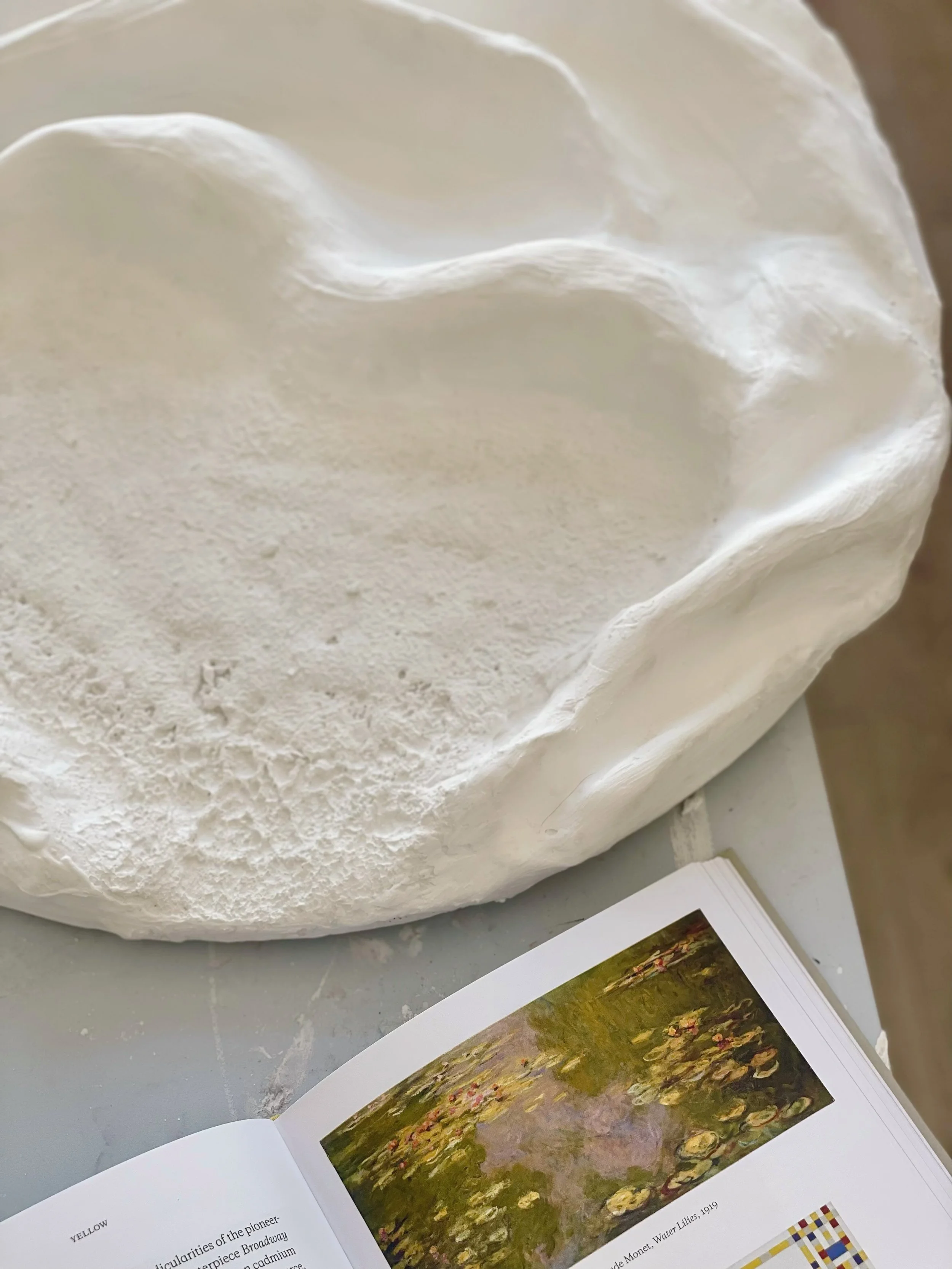 Art and sculpture reference book displayed in natural light