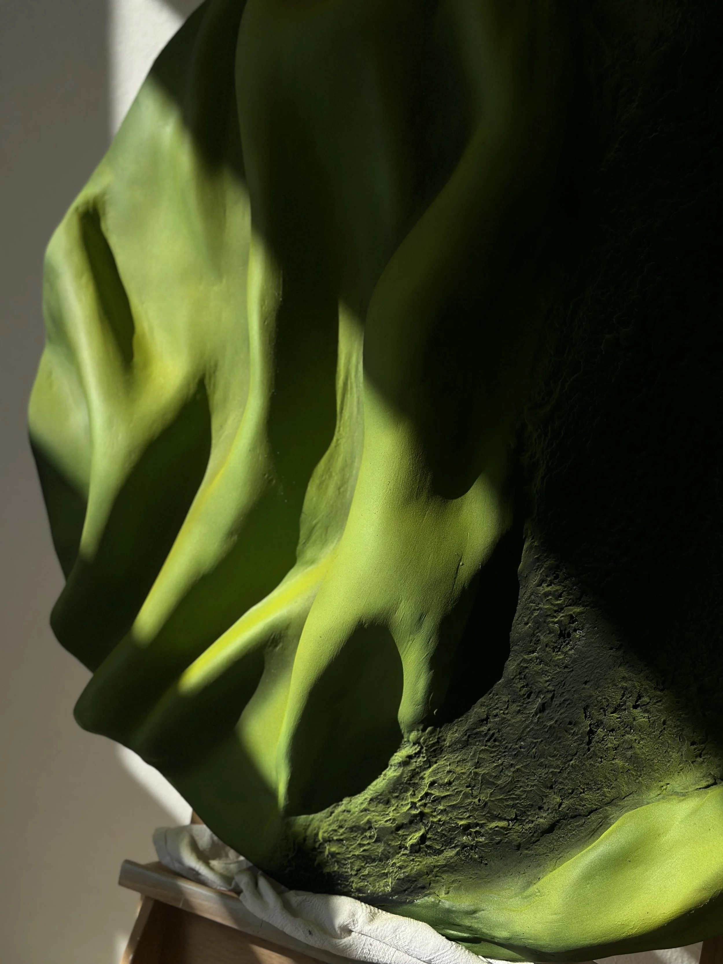 Close-up of a cactus with green ridges and dark textured areas, resting on a wooden surface with a white cloth underneath.