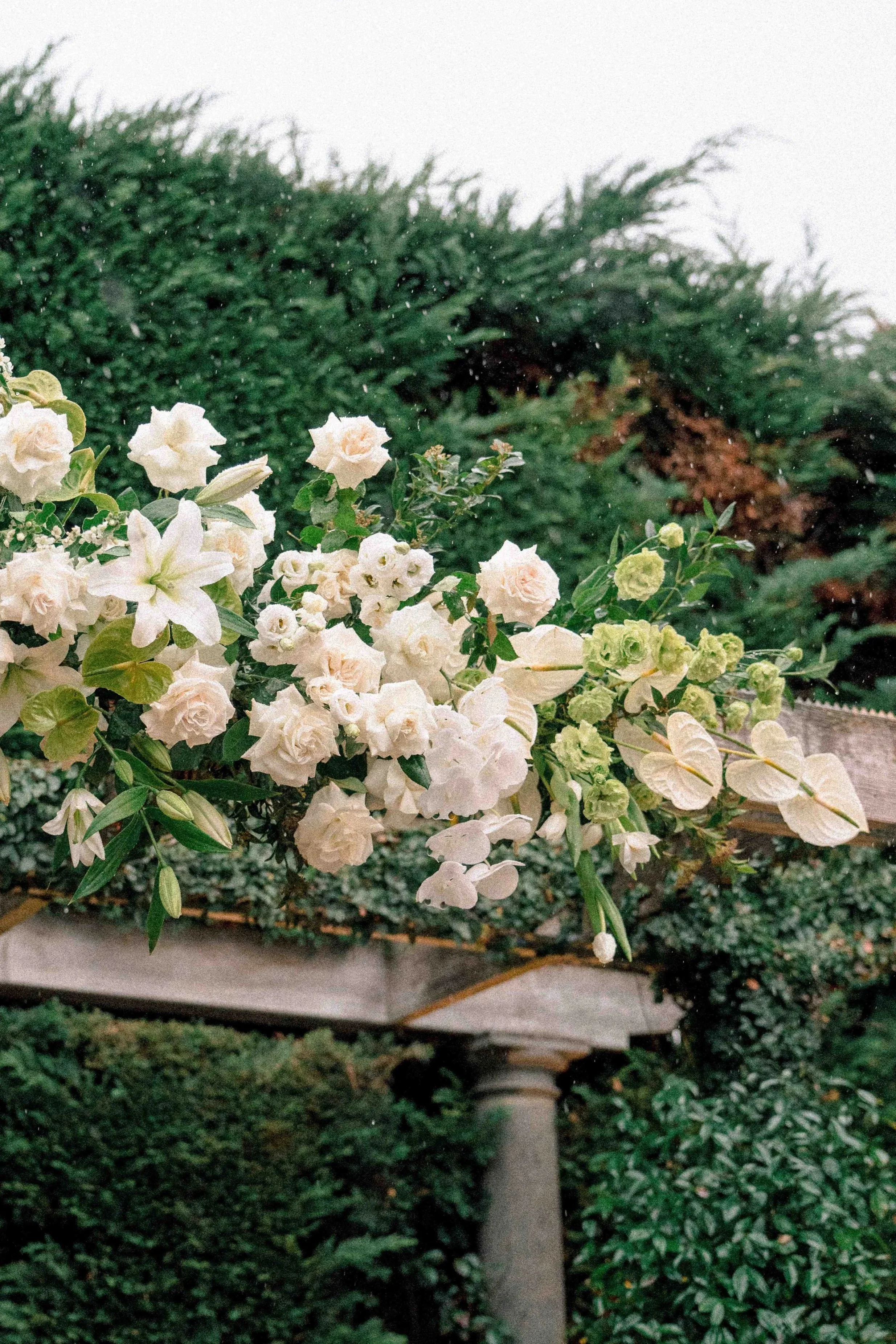 A garden scene with white and pale pink flowers, including lilies and roses, surrounded by green foliage. There is a stone or concrete fountain or birdbath beneath the flowers, with water or rain droplets visible.