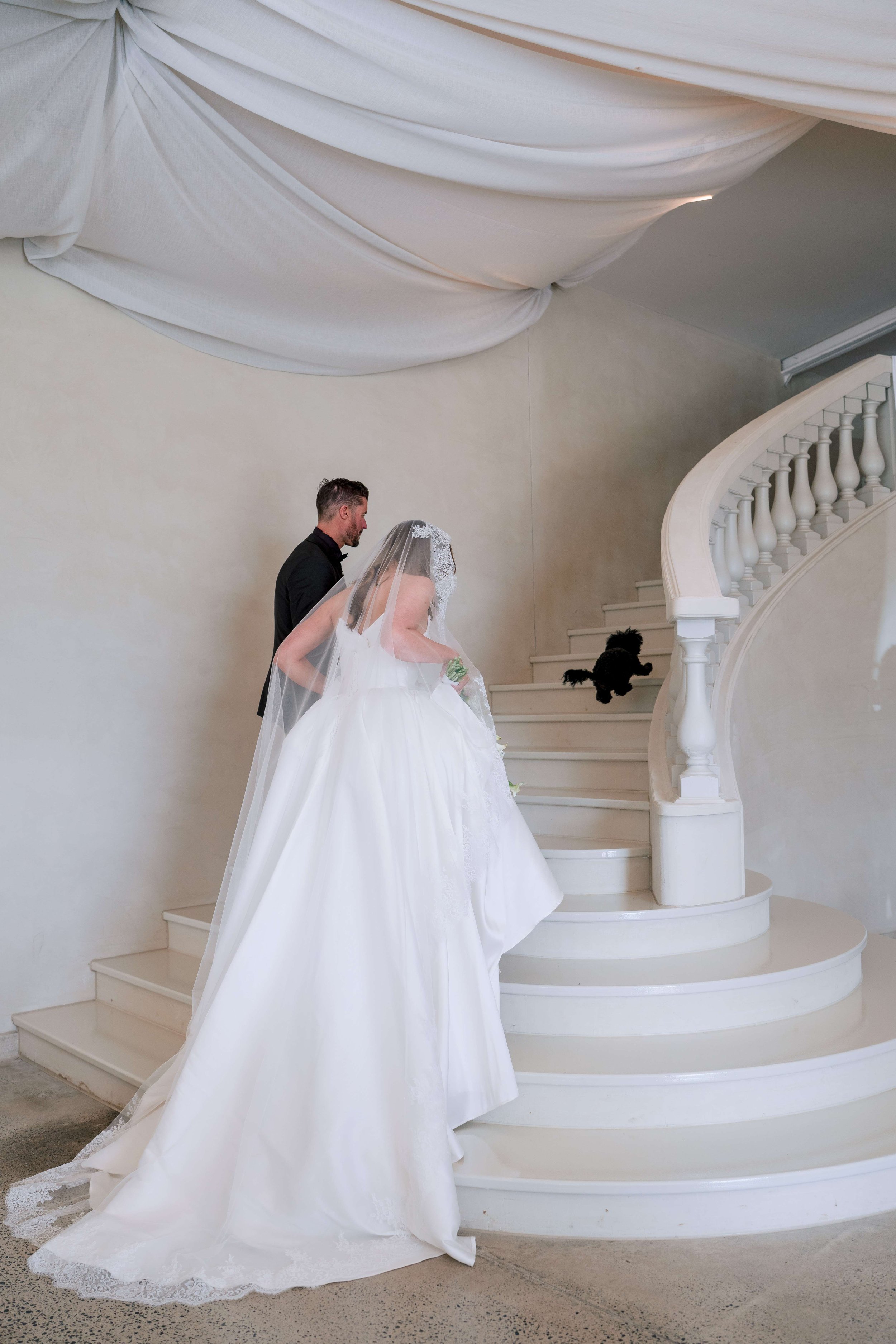 AloraLuneWeddings (384 of 561).jpg