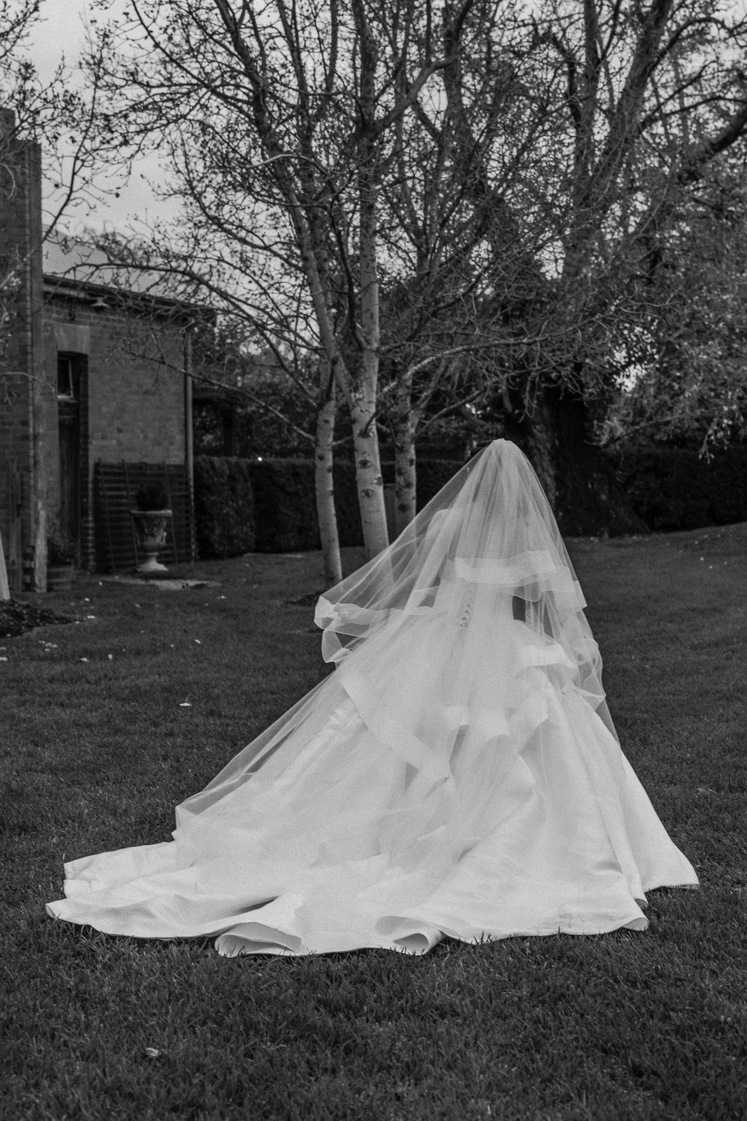 A wedding dress with a long train is laid on the grass outdoors, under a large leafless tree in the evening or late afternoon.