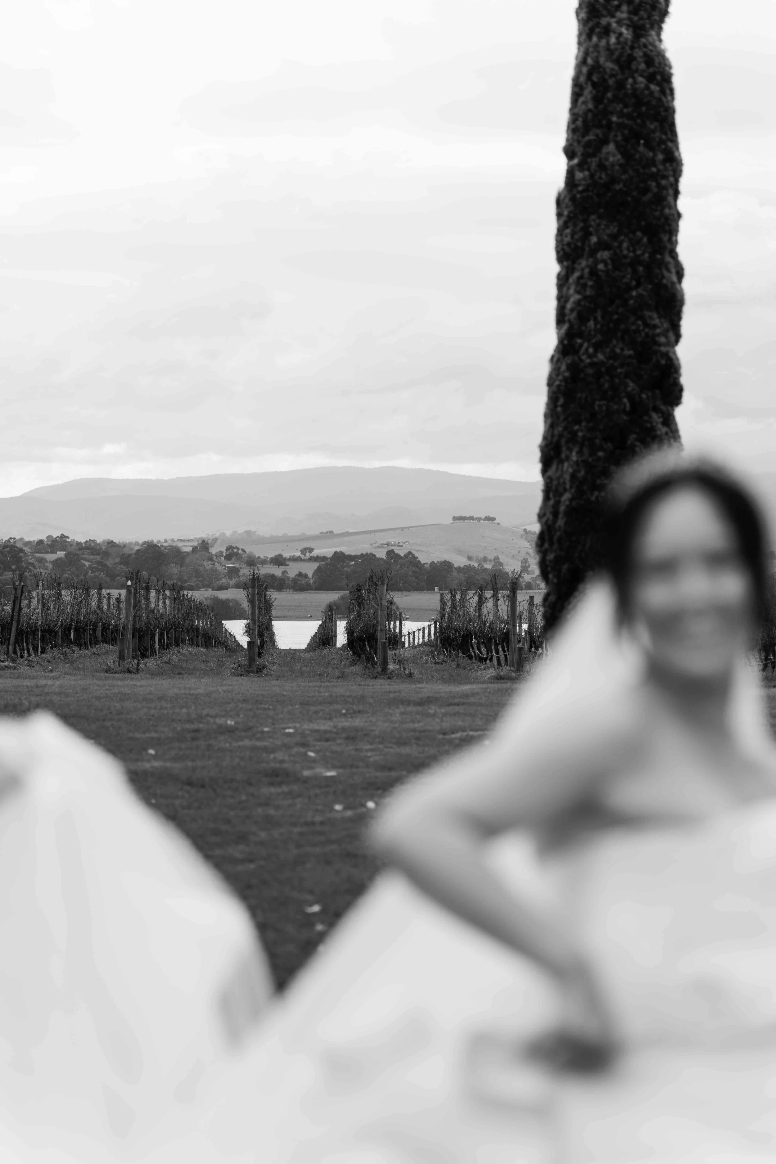 opti_ReinaHaruki_StonesYarraValley (135 of 301).jpg