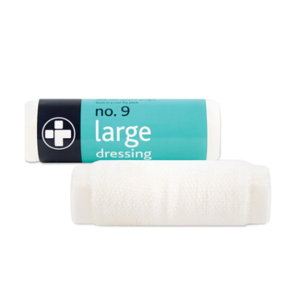 Large Dressing