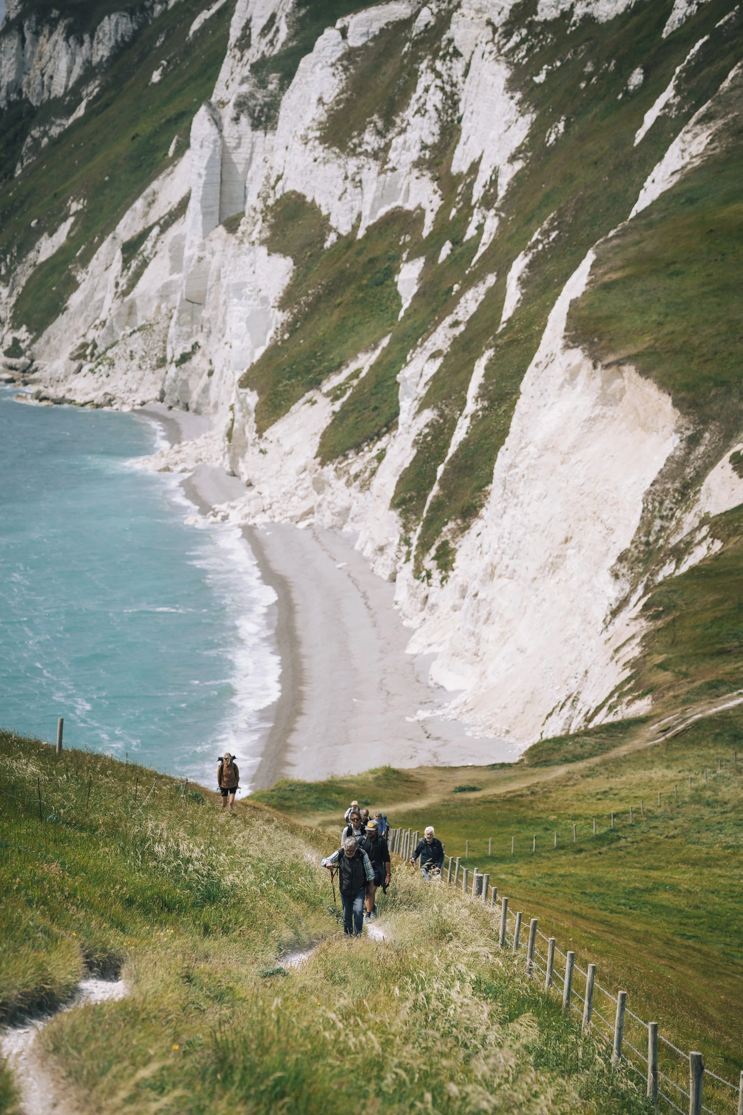 Group of hikers walking along a grassy trail with a coastal cliff and beach in the background.