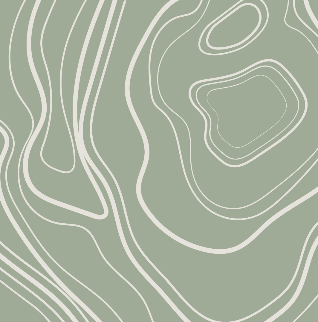 Abstract topographic map with light green background and white contour lines.