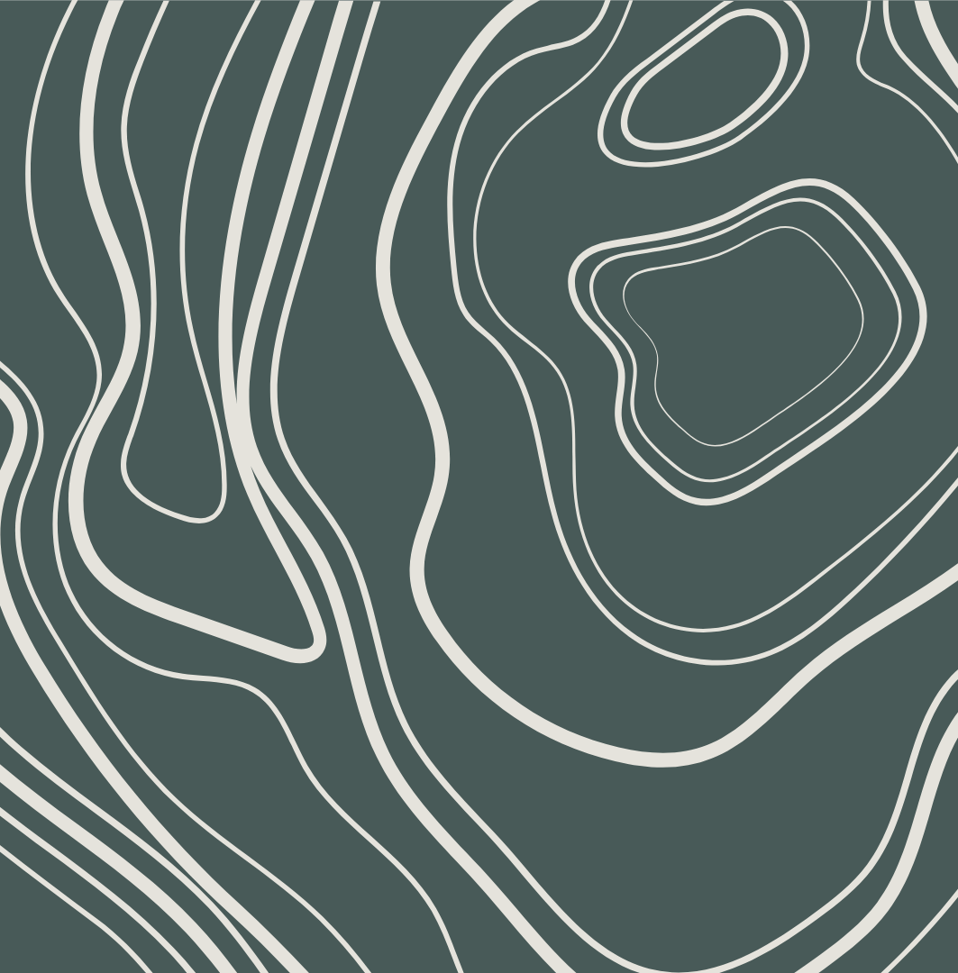 Abstract topographic map with contour lines in shades of gray.