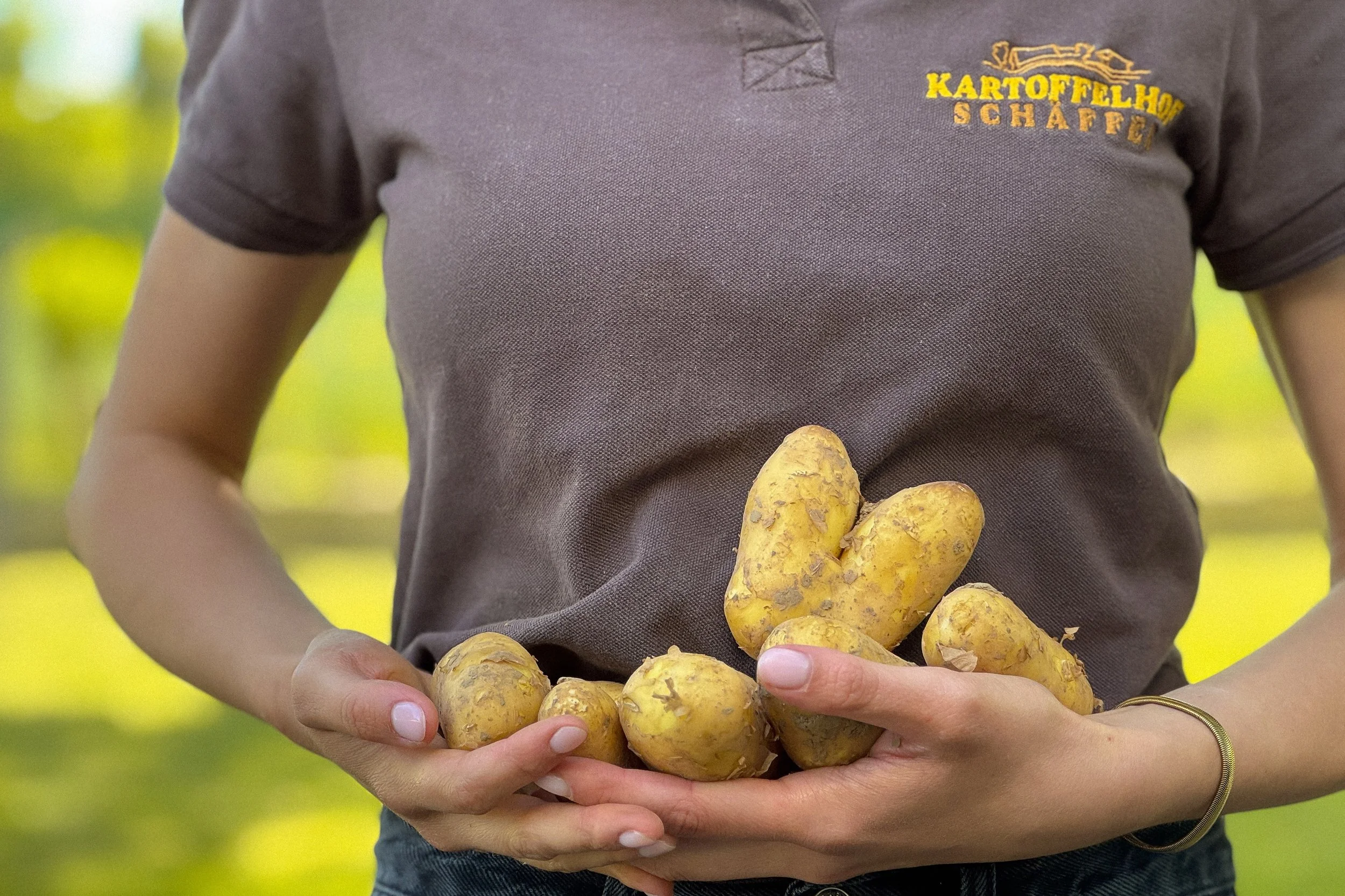 Person hält mehrere Kartoffeln in den Händen, trägt ein graues T-Shirt mit einem gelben Logo, im Hintergrund ist grüne Natur zu sehen.