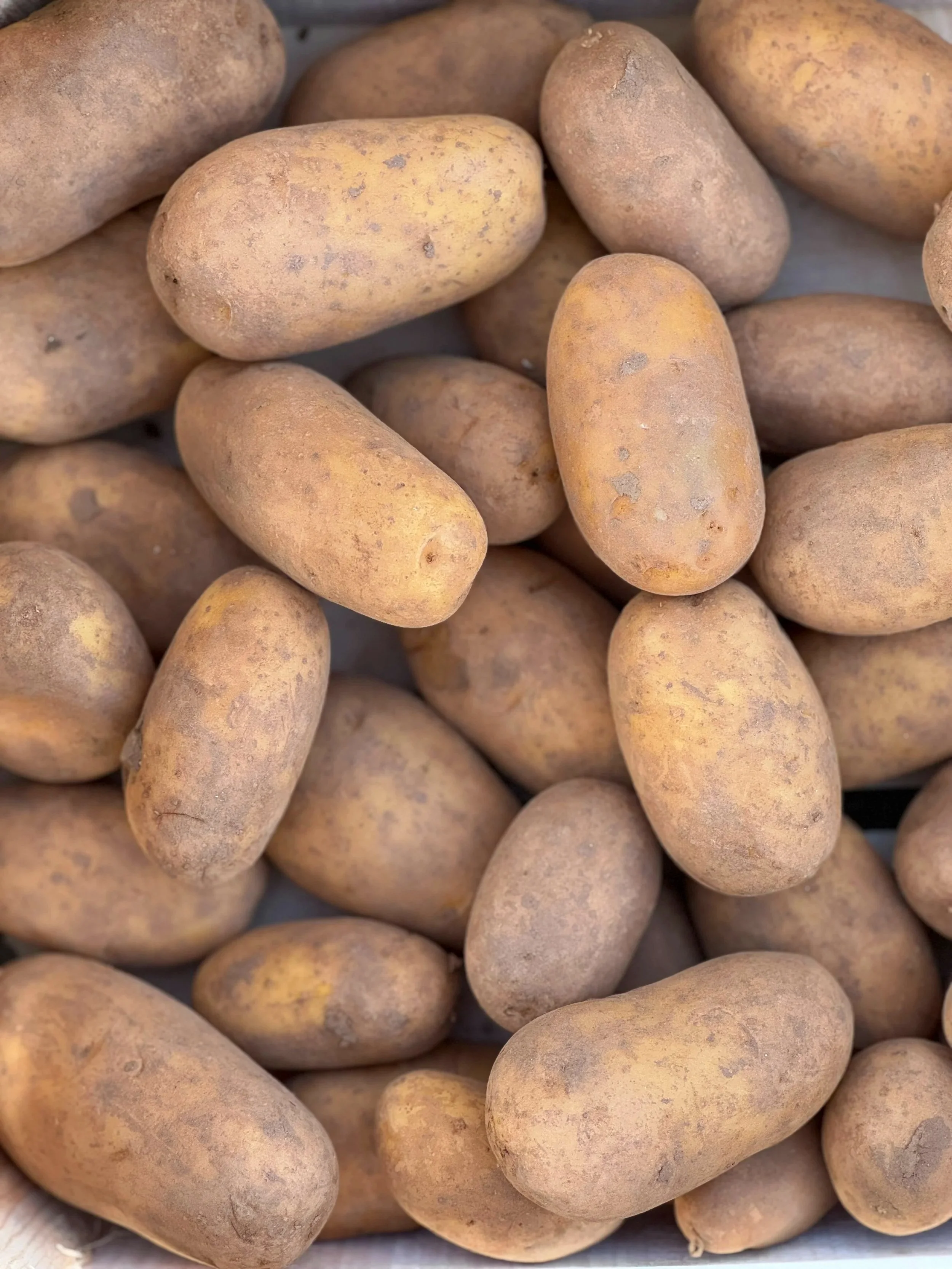 Vorwiegend festkochende Kartoffeln vom Kartoffelhof Schäffer.