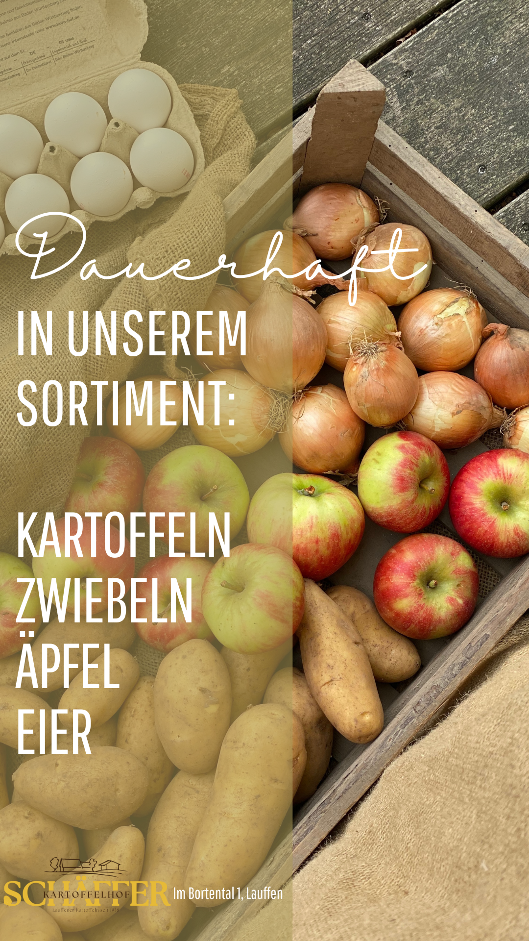 Kartoffeln, Zwiebeln, Äpfel, Eier aus dem Hofladen vom Kartoffelhof Schäffer