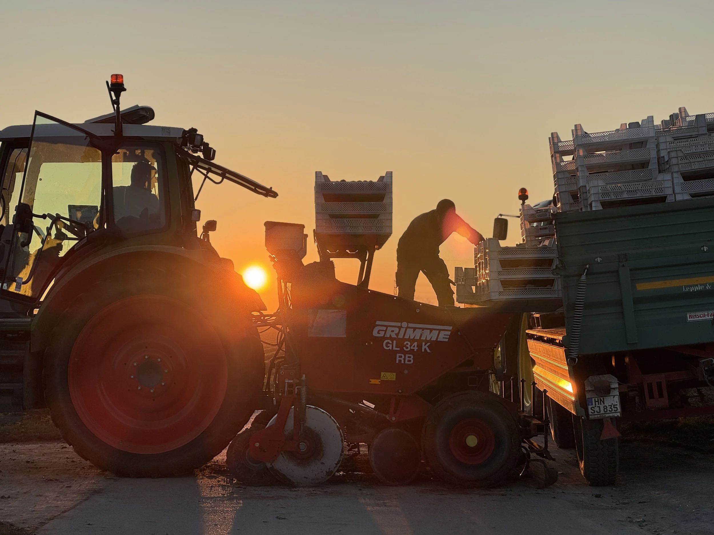 Der Fendt 516 im Sonnenuntergang auf dem Kartoffelhof Schäffer