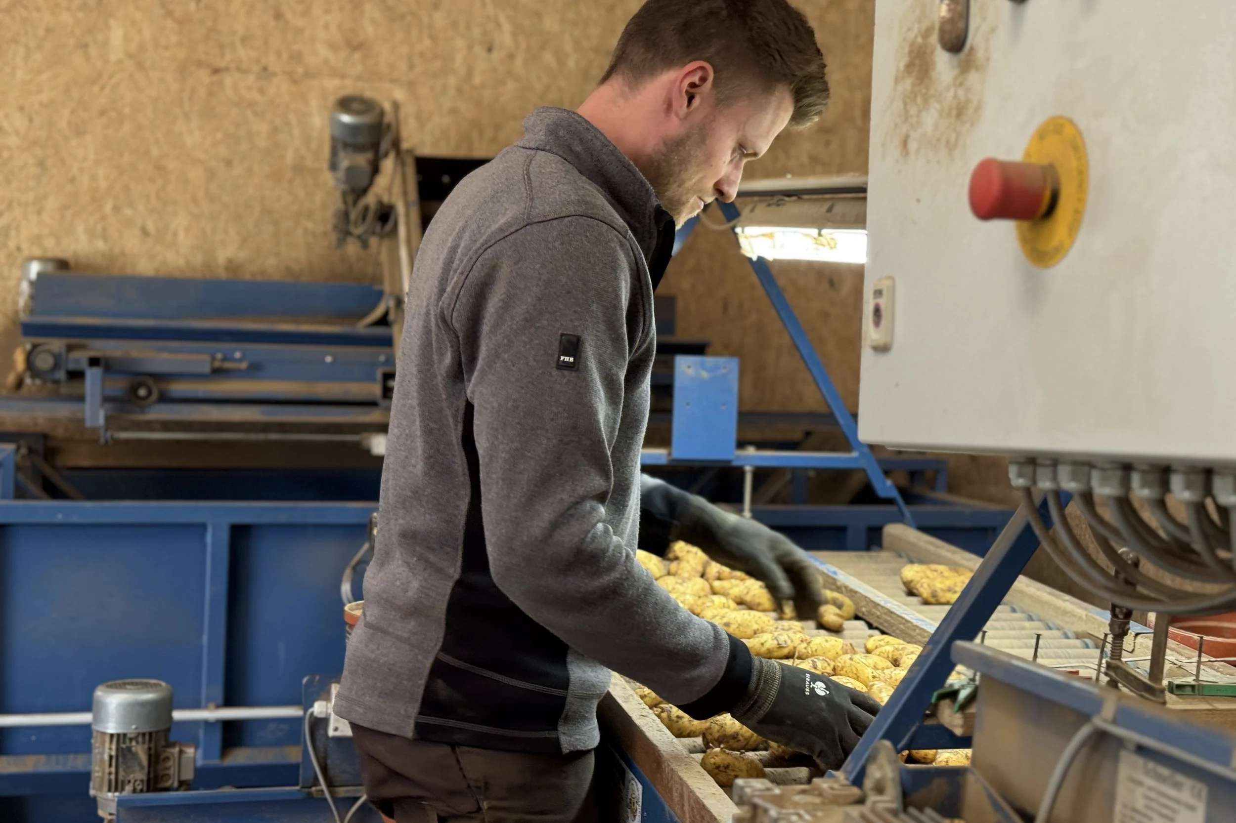 7. Schritt: Kartoffeln sortieren
