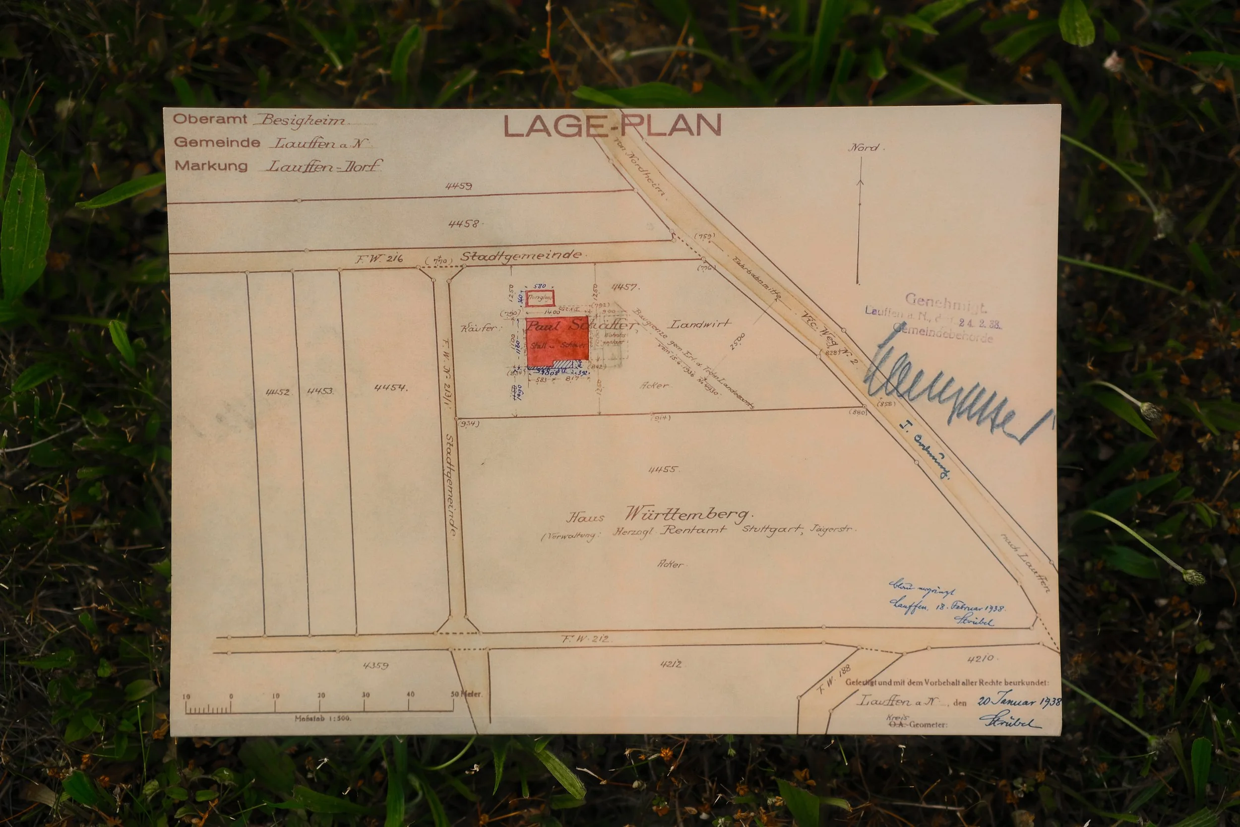 Familiengeschichte zu "Projekt Brasilien" in Lauffen am Neckar