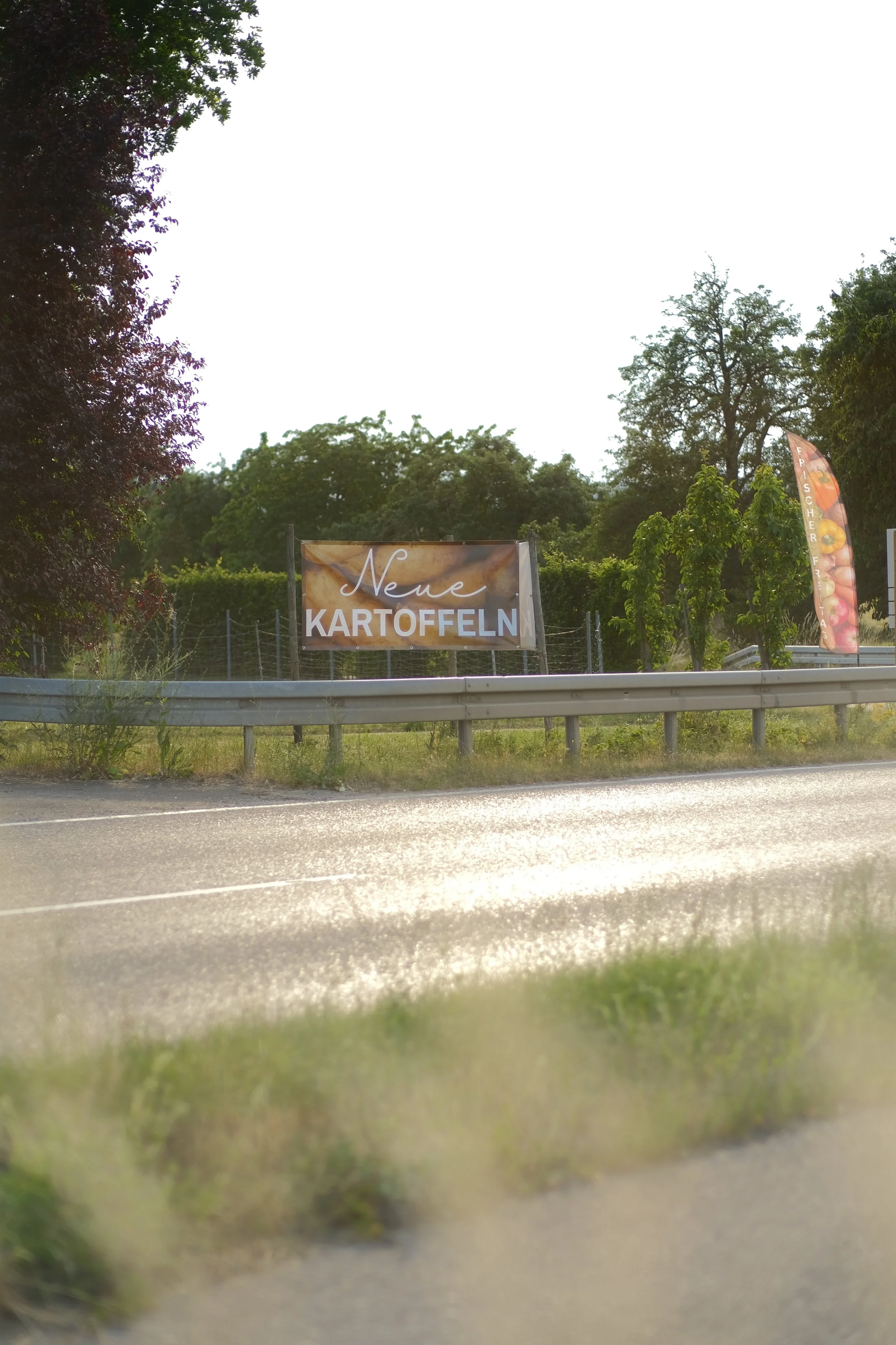 Hinweistafel mit der Aufschrift 'Neue Kartoffeln' neben grünem Busch und Bäumen bei sonnigem Himmel