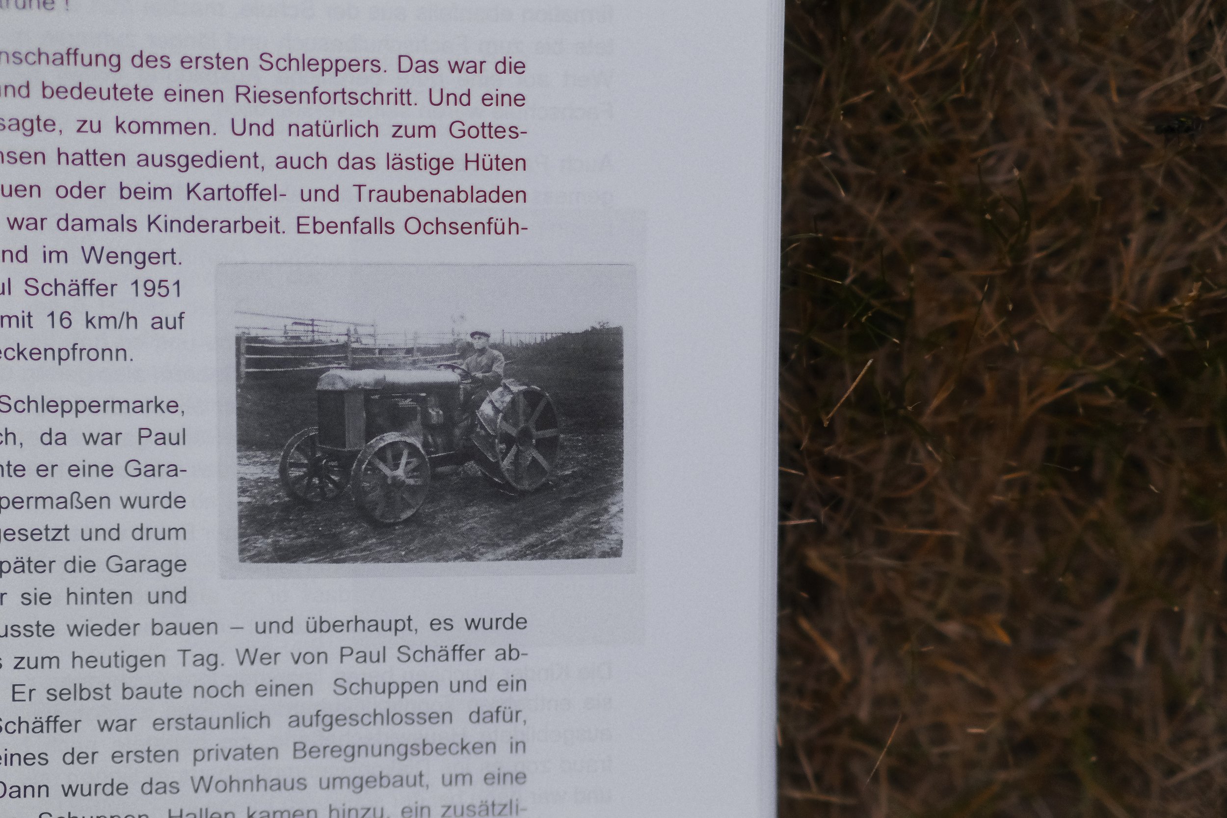 Familiengeschichte zu "Projekt Brasilien" in Lauffen am Neckar