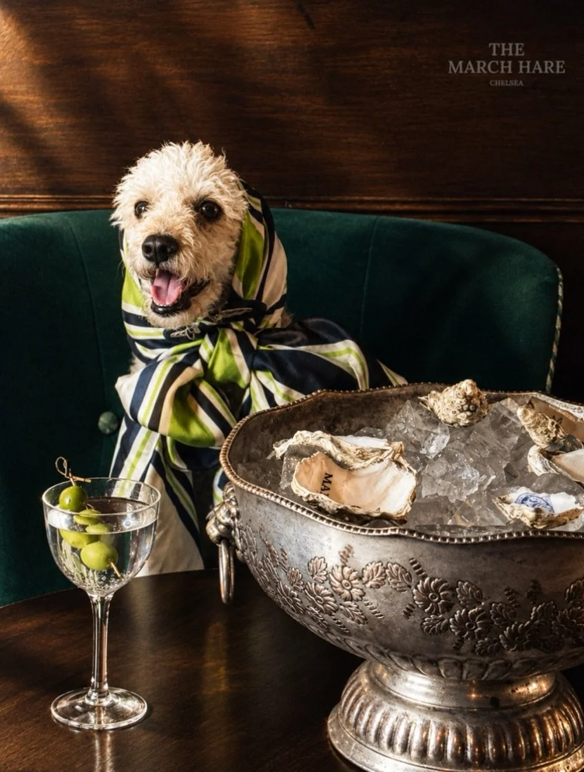 Chelsea Dog Day lands on October 3rd. Bring your favourite plus one and settle in for oysters, drinks and good company. We&rsquo;re proudly pet friendly! 🐾🍸🦪

&pound;2 Oyster Hour from open until 8pm, Tuesday to Saturday.

🐕 Coco 🐾 
📸 @maria_ka