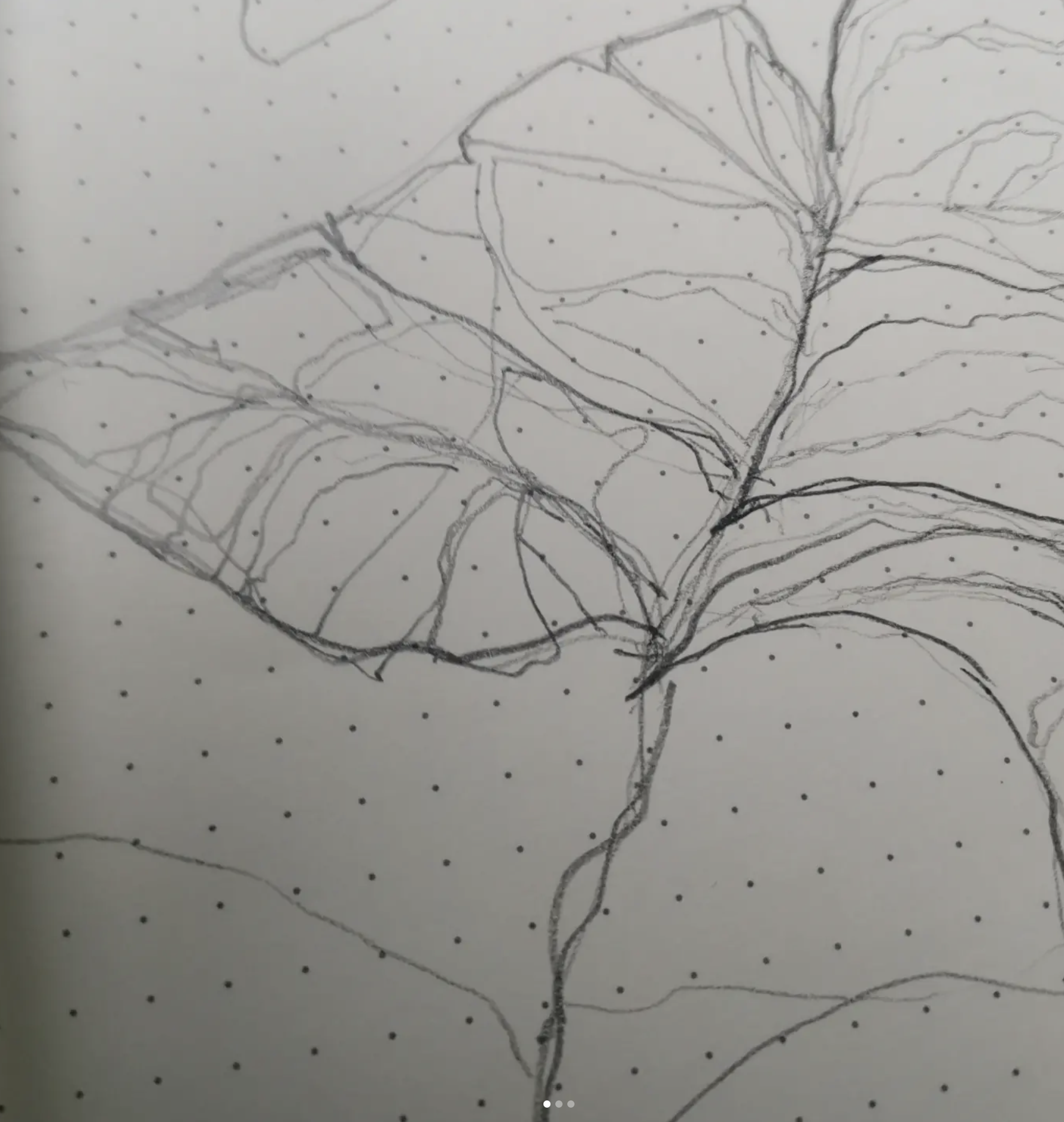 A black and white sketch of a leafy plant or tree with detailed veins on the leaves, drawn on dotted paper.