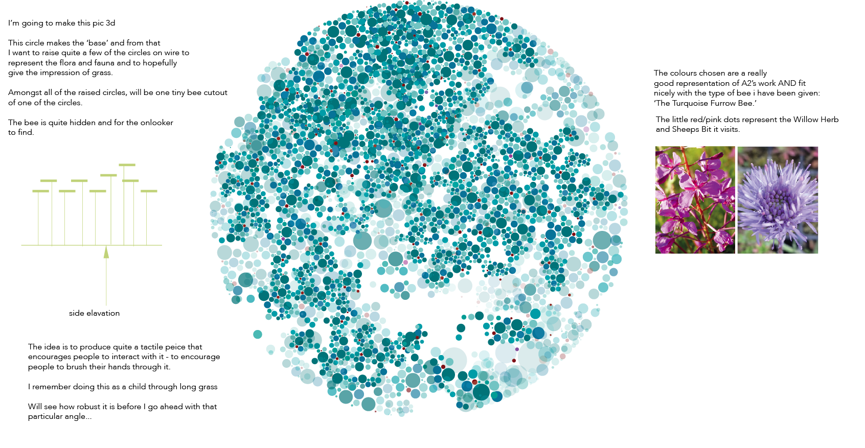Digital circle diagram illustrating a 3D representation of a flower, with varying blue and red dots representing different flora. Included are images of purple flowers and pink/purple herbs, with text explaining the representation and color choices b