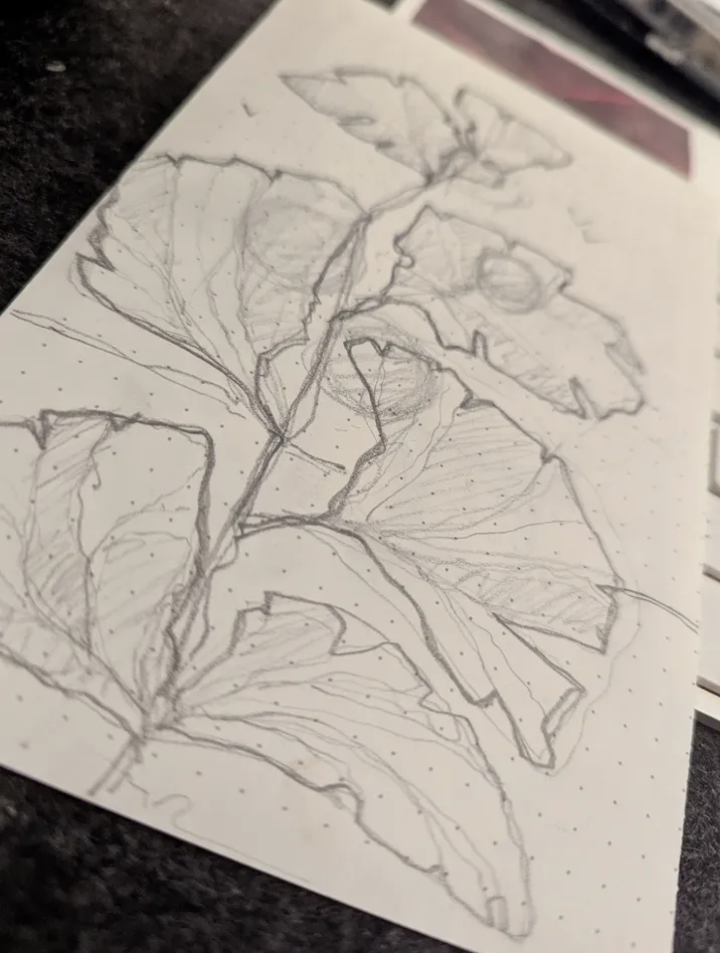 A pencil sketch of a detailed plant with large leaves on a piece of paper.