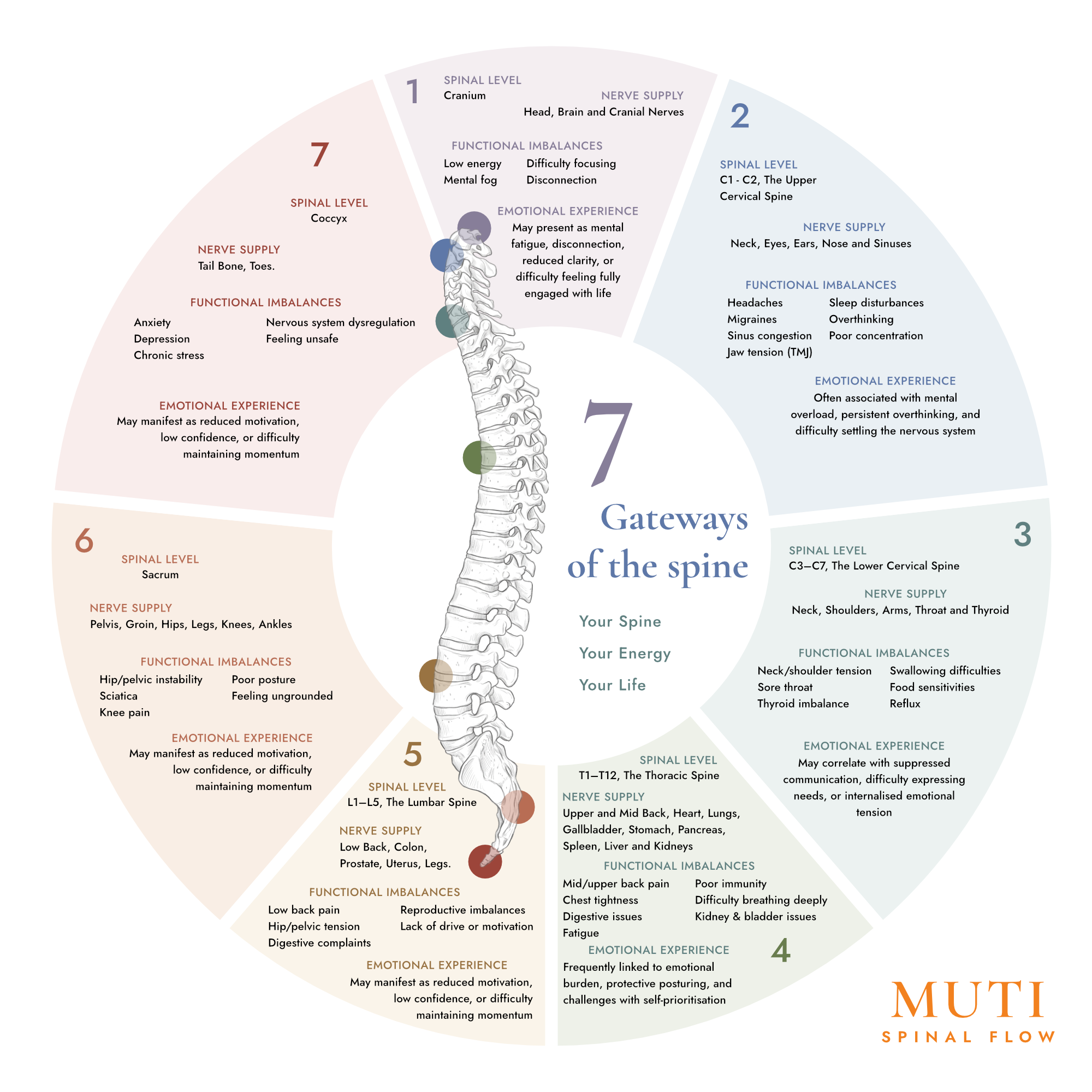 Infographic showing the 7 gateways of the spine