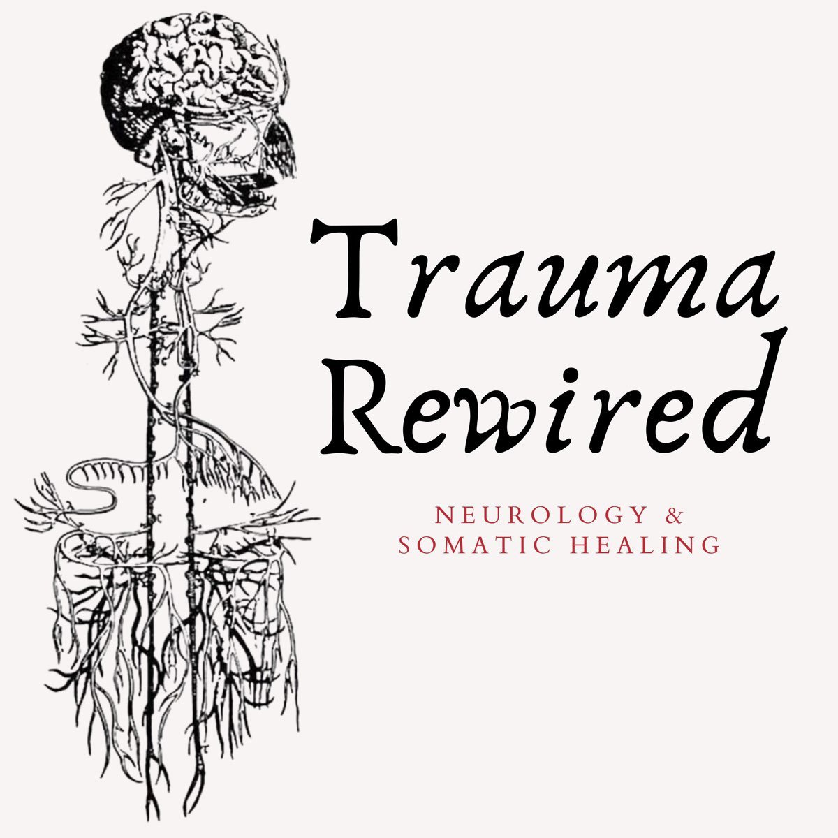 Trauma Rewired: Cancer Risk and Childhood Trauma: A Neurosomatic Perspective