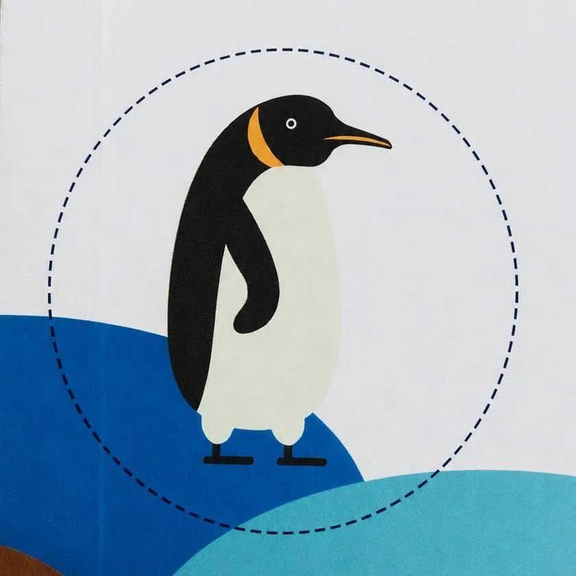 Polar-Sailing