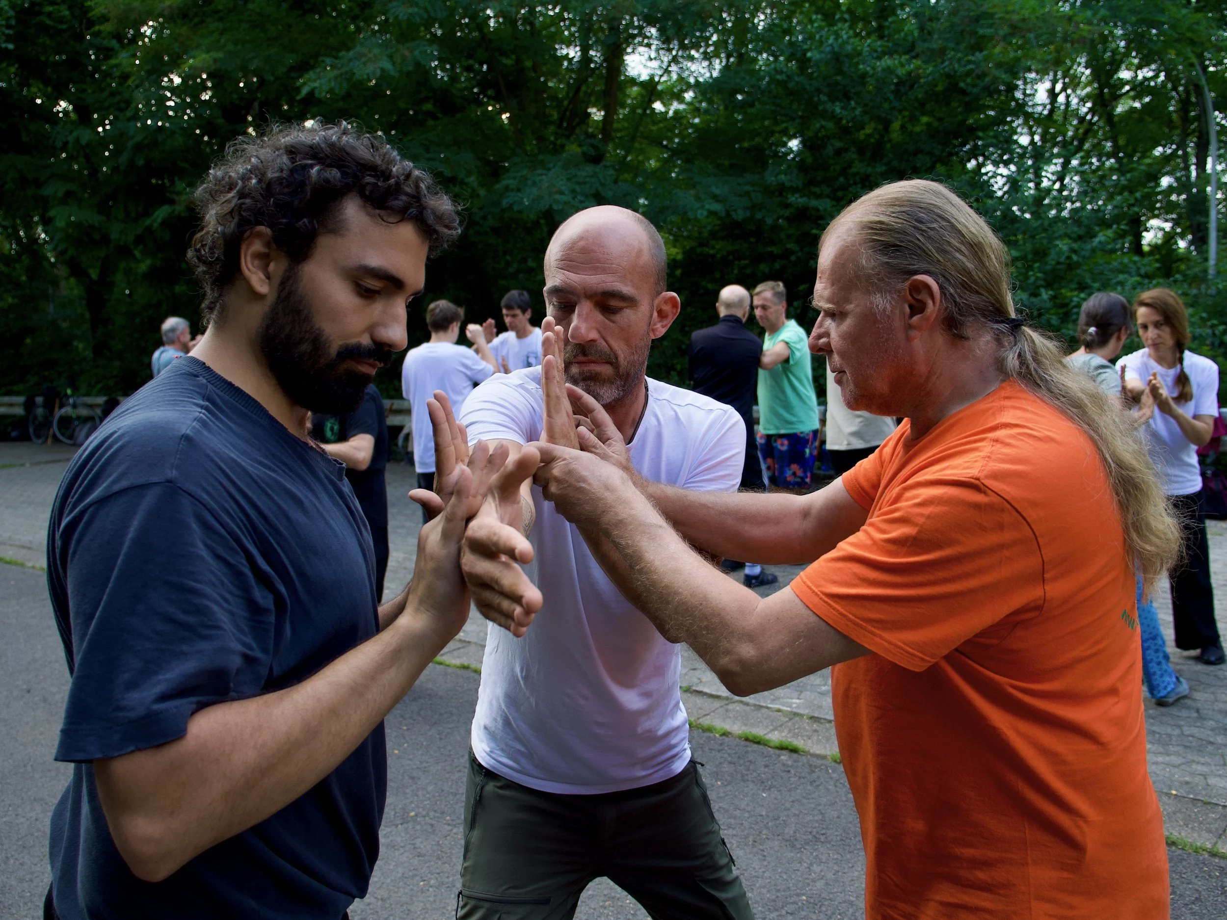 Tui Shou Partnerübung, Korrektur vom Meister (Sifu) Jürgen Meyer