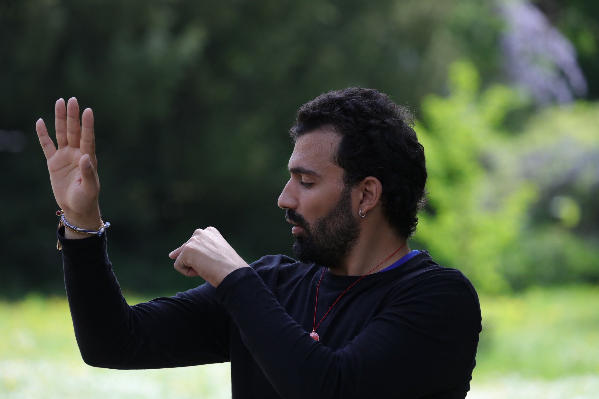 Ein Mann mit dunklen, gelockten Haaren und Bart macht eine Geste mit den Armen in einem grünen Park, trägt schwarze Kleidung, eine silberne Ohrring und mehrere Armbänder.