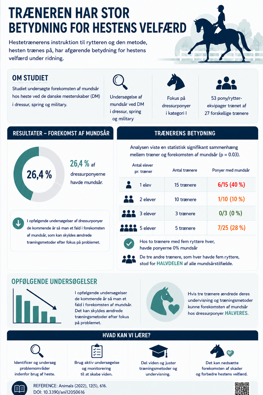 Infografik om trænerens betydning for hestens velfærd, der viser undersøgelsesresultater om mundsår blandt dressurheste og trænernes rolle i forebyggelsen, herunder statistik over ponyer med mundsår og anbefalinger til forbedringer.