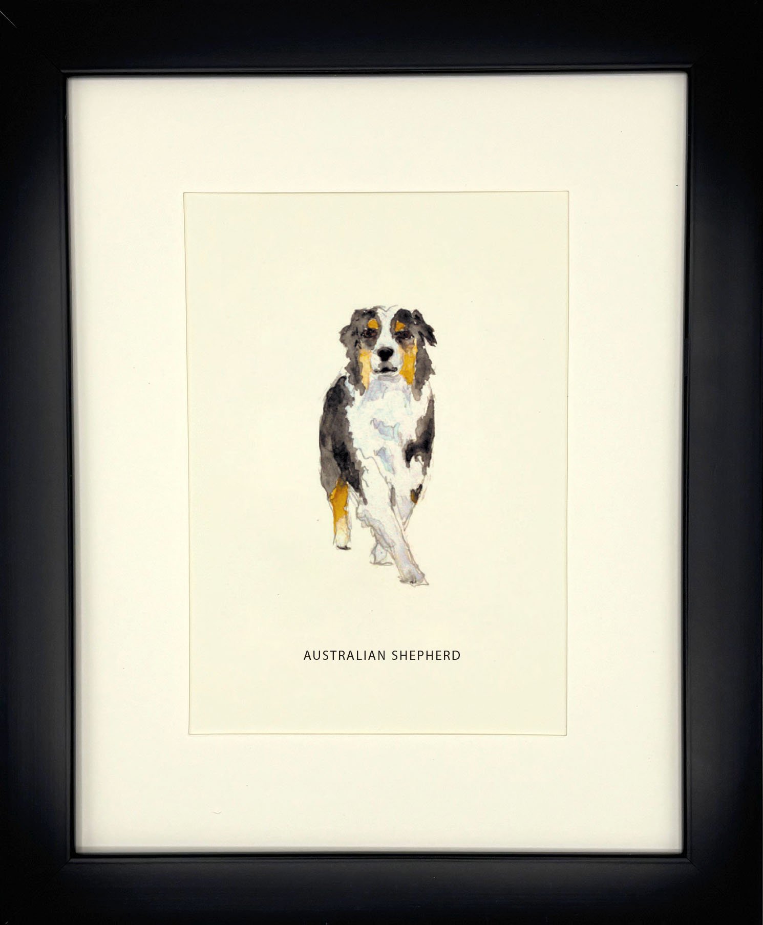 AustralianShepherd_BlackFrame.jpg