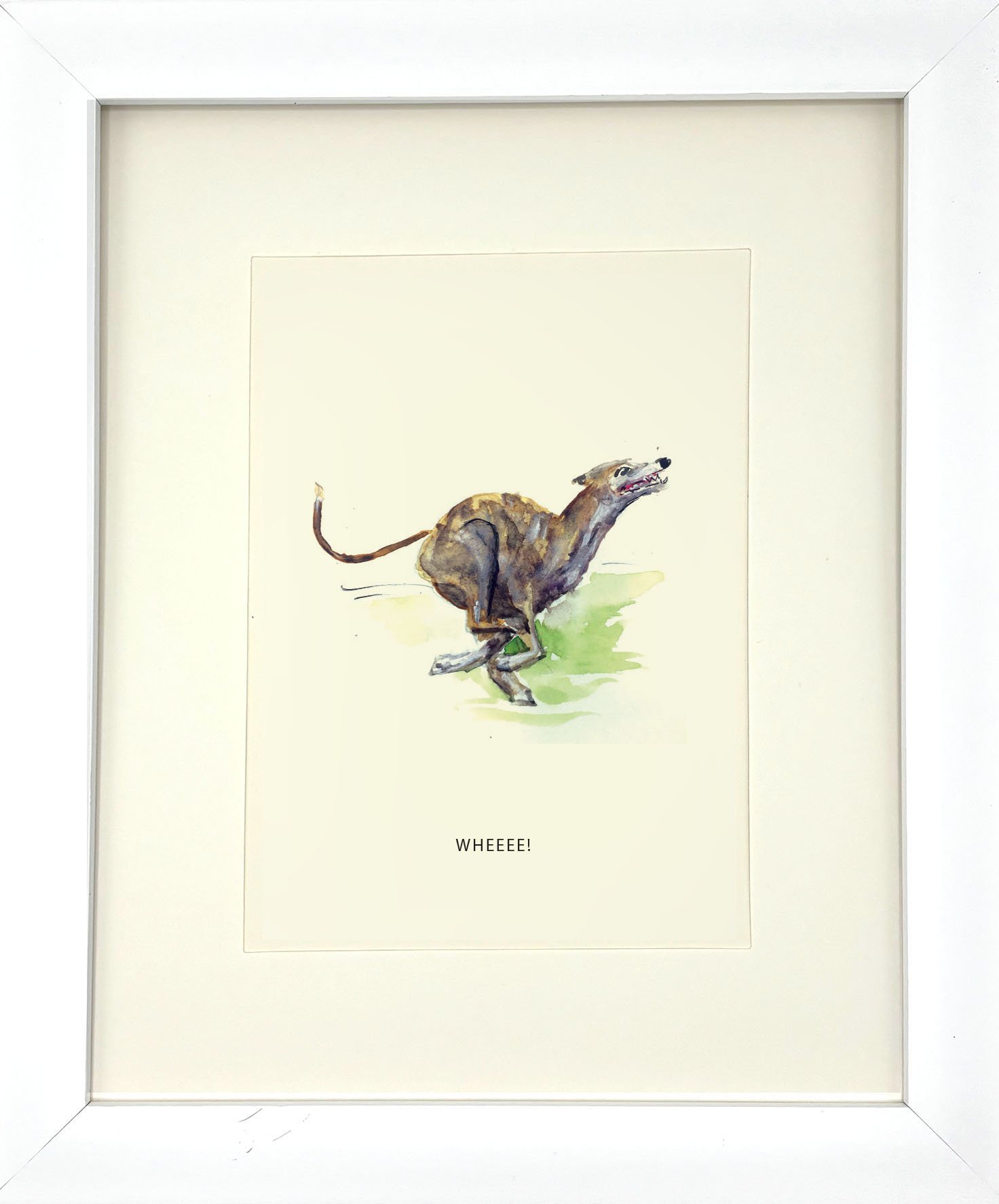 Greyhound_WhiteFrame.jpg